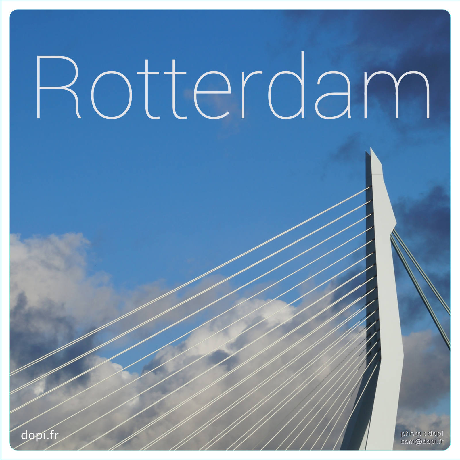 00004 116rot,medium large.2x.1483111556